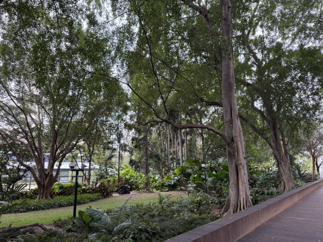 Doha – Brisbane 2026