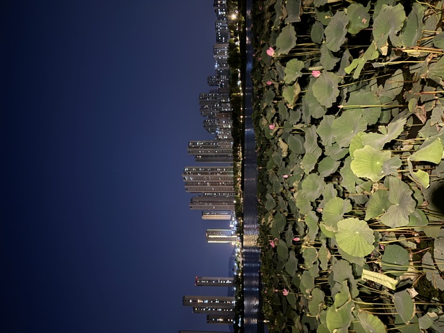 Nanjing – Shanghai 2024
