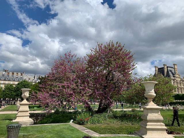 Paris Infocom 2019